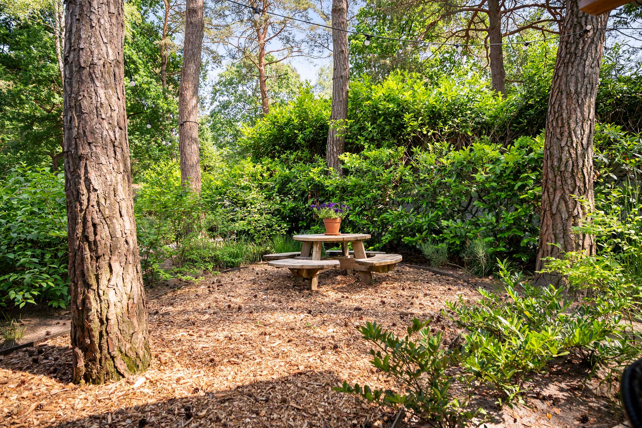 Photo 18 of Hoge Bergweg 16-108