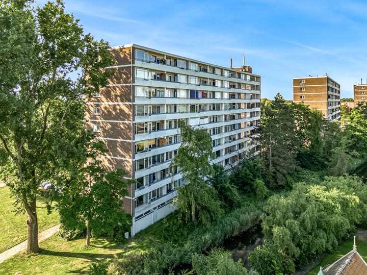 Foto 30 van Honthorstlaan 18