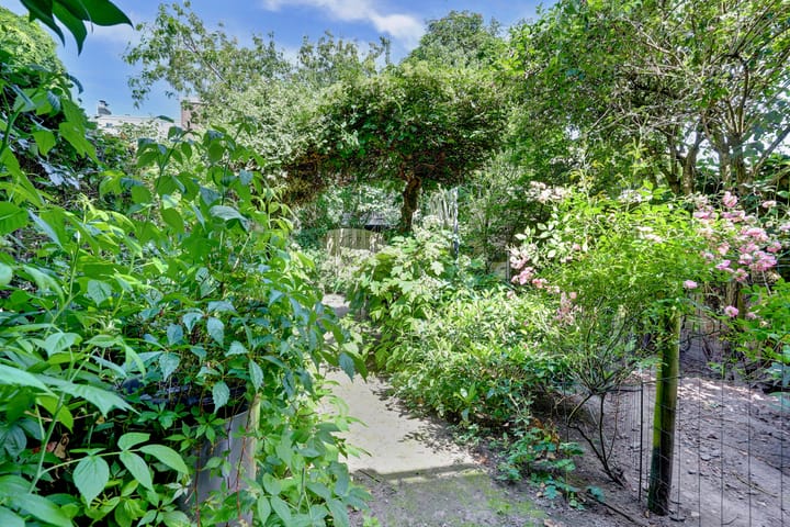 Foto 38 van Annastraat 24