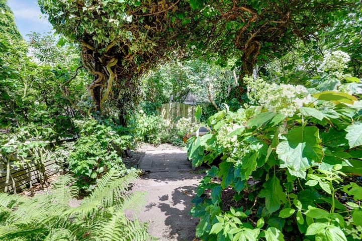 Foto 43 van Annastraat 24