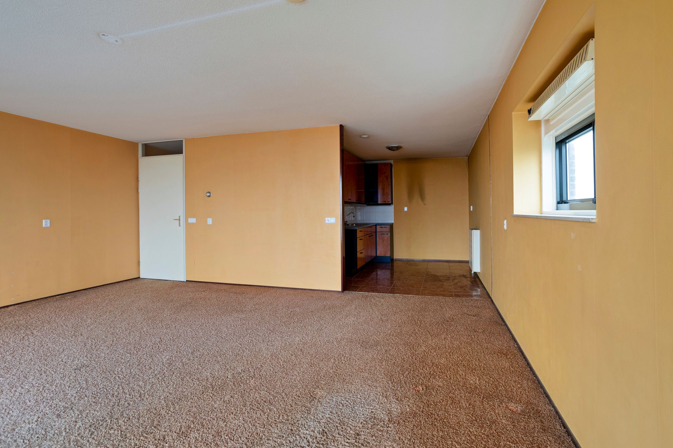 Foto 9 van Tretjakovlaan 90