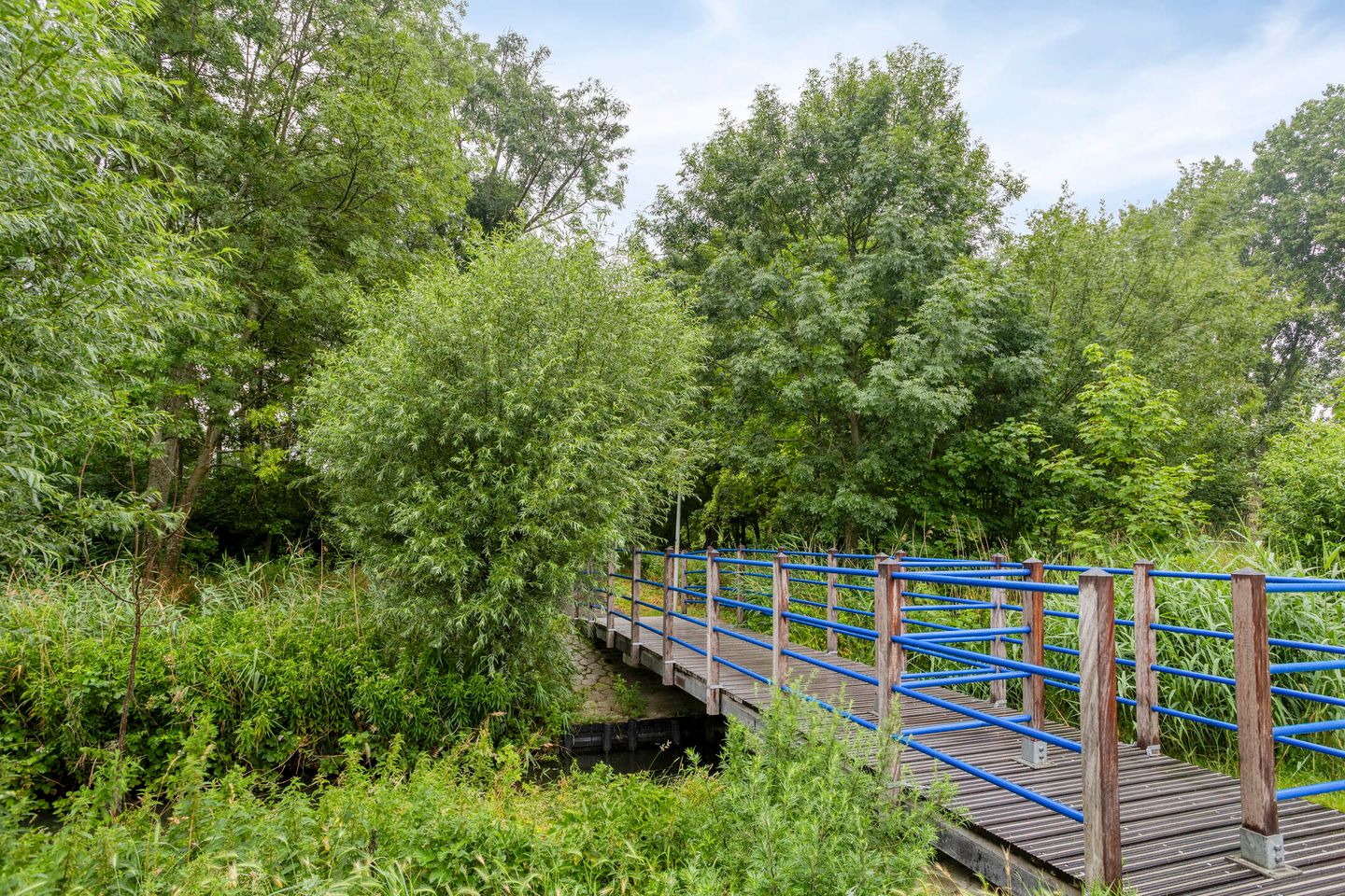 Foto 34 van Tretjakovlaan 90