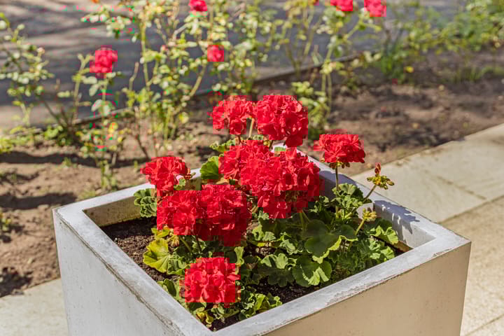 Foto 11 van Klamperlaan 21