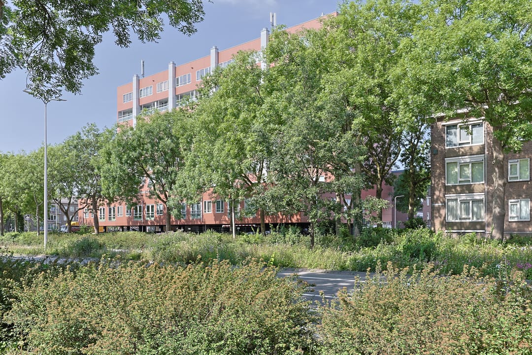 Foto 2 van Stadhoudersplein 105