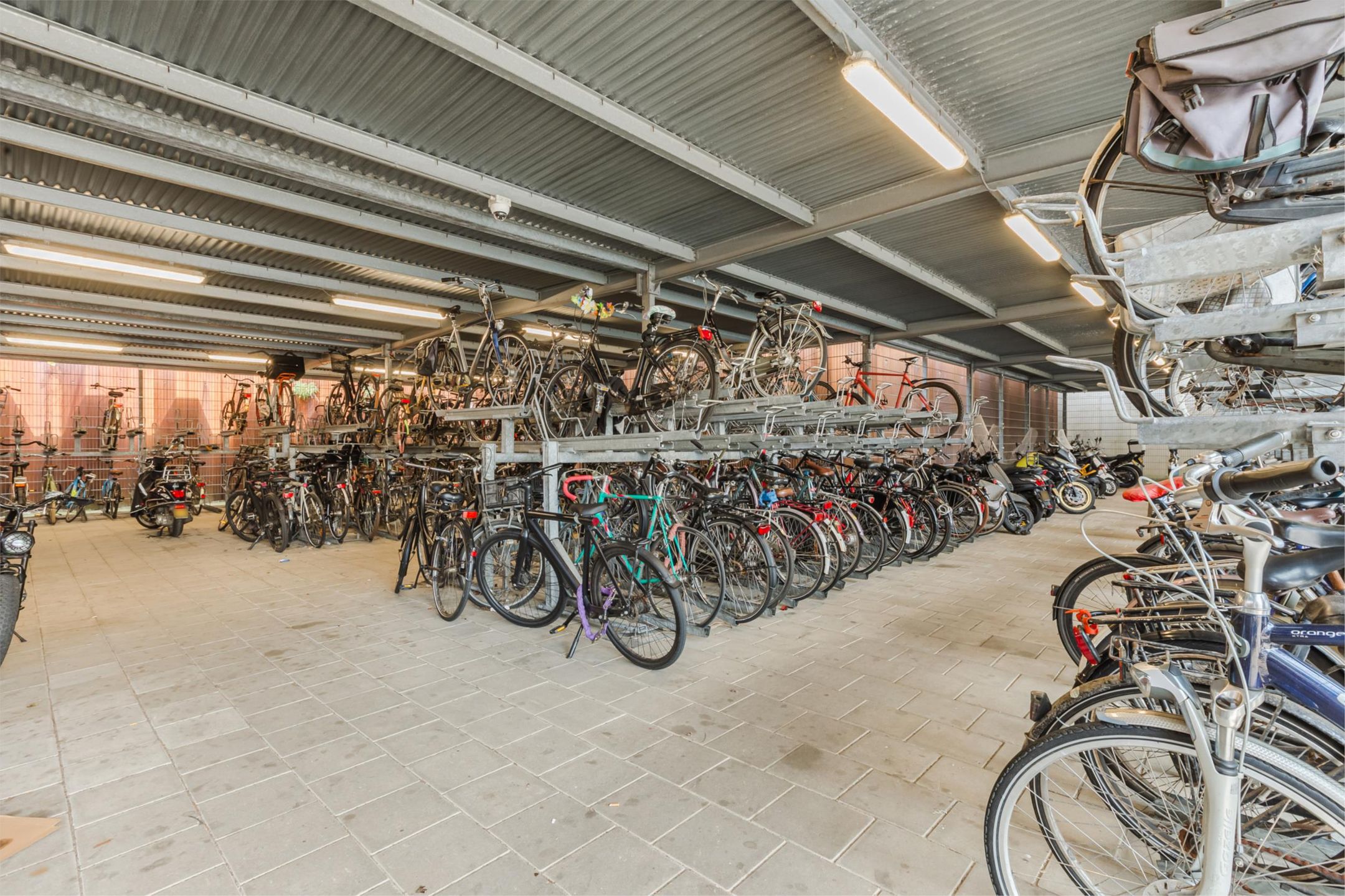 Foto 18 van Bos en Lommerplantsoen 39-B