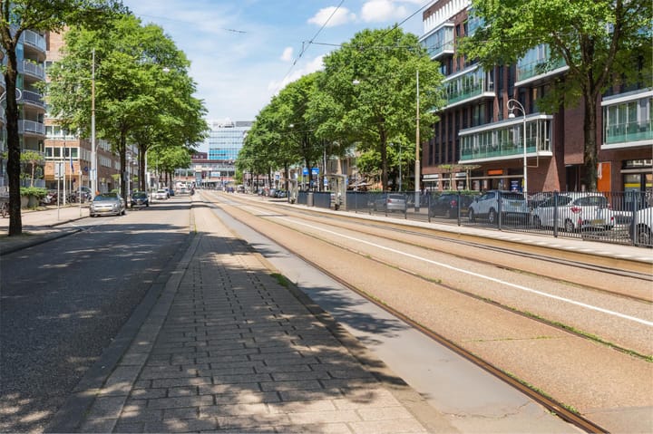 Photo 25 of Bos en Lommerplantsoen 39-B