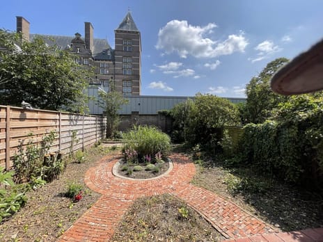 undefined main image