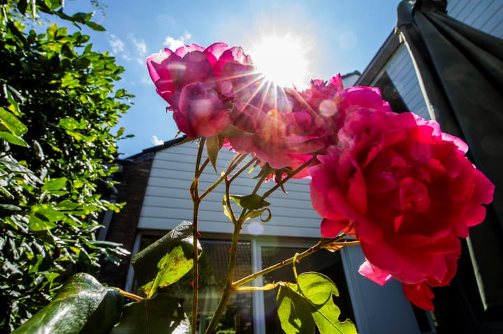 Foto 28 van Hageneind 2