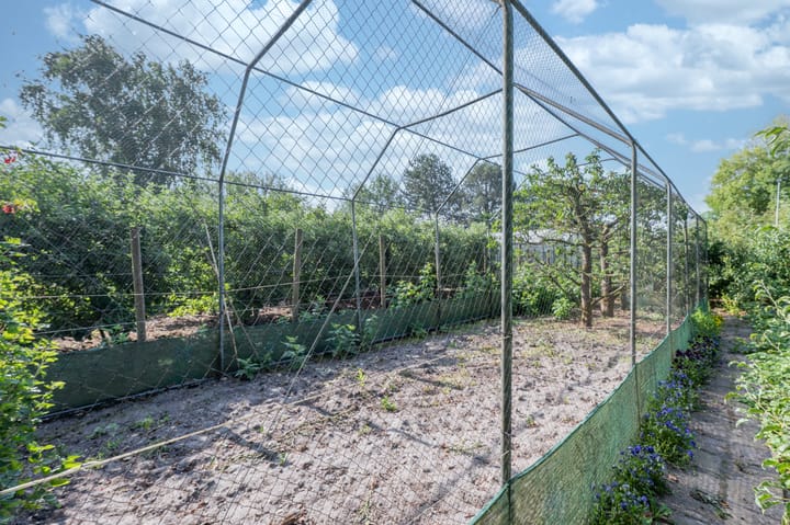 Photo 49 of Sint Maartenstraat 10