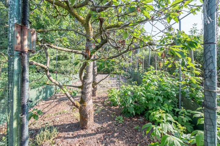 Photo 50 of Sint Maartenstraat 10