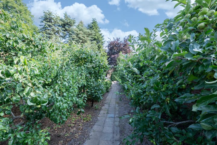 Photo 51 of Sint Maartenstraat 10