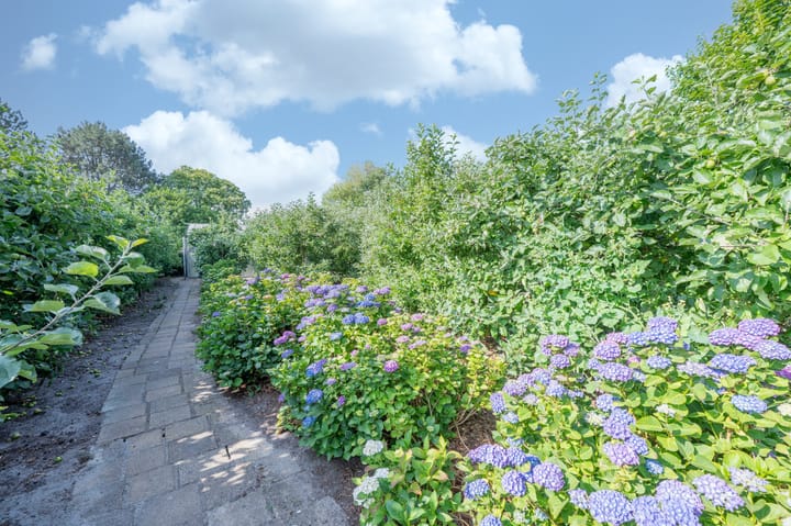 Photo 54 of Sint Maartenstraat 10