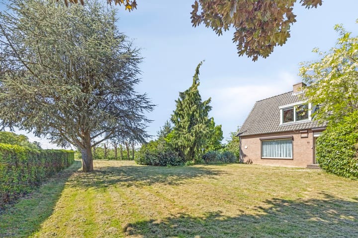 Foto 8 van Botsestraat 11