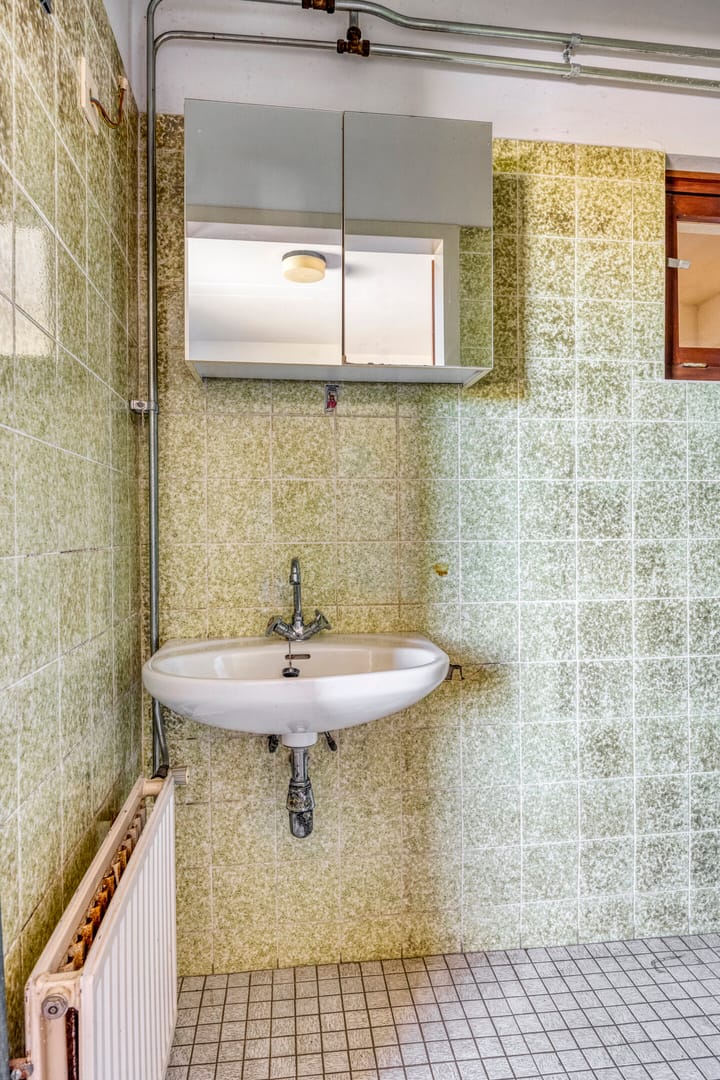 Foto 30 van Botsestraat 11