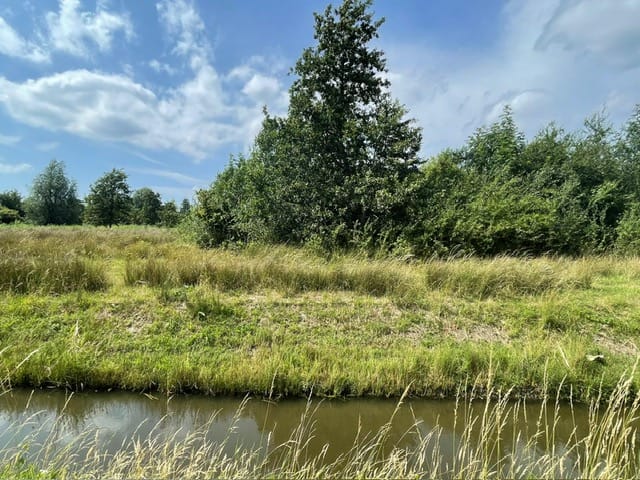 Foto 20 van Beukenlaan 27