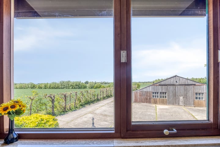 Foto 40 van Botsestraat 11