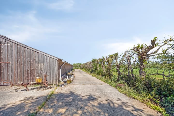 Foto 51 van Botsestraat 11