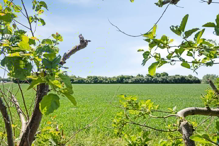 Foto 69 van Botsestraat 11