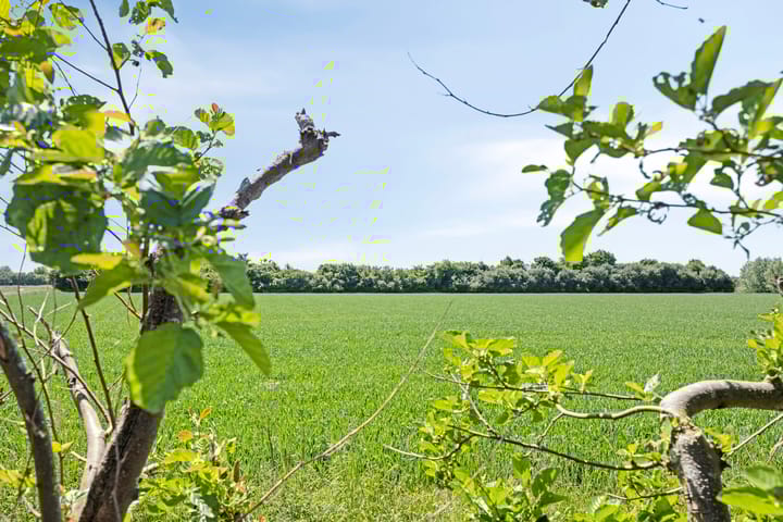 Foto 70 van Botsestraat 11