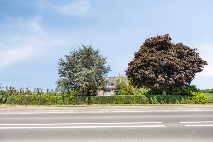 Foto 76 van Botsestraat 11