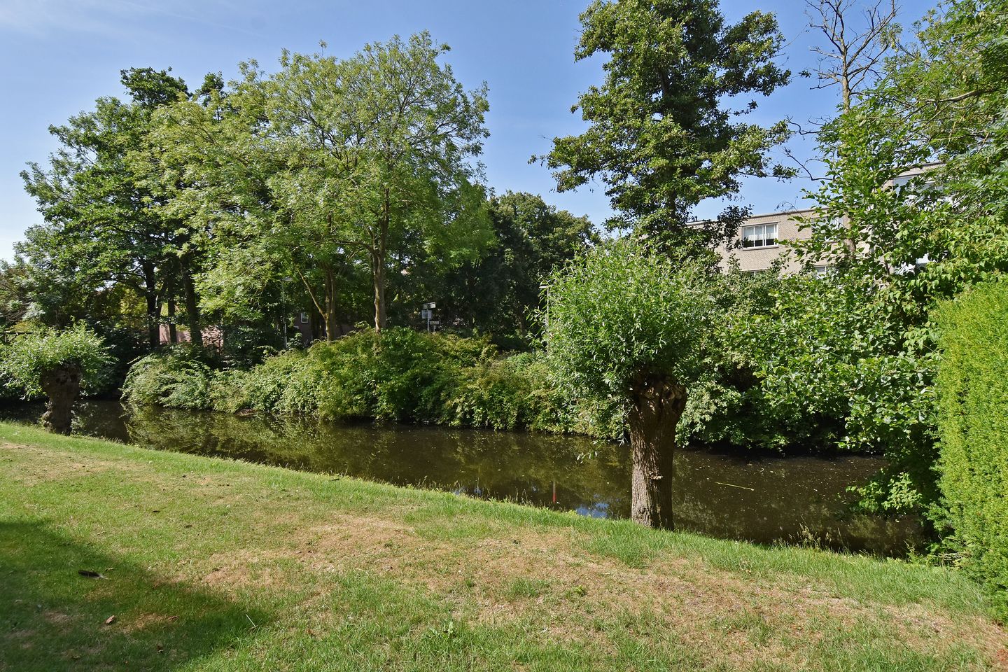 Foto 40 van Dirk Buserf 194