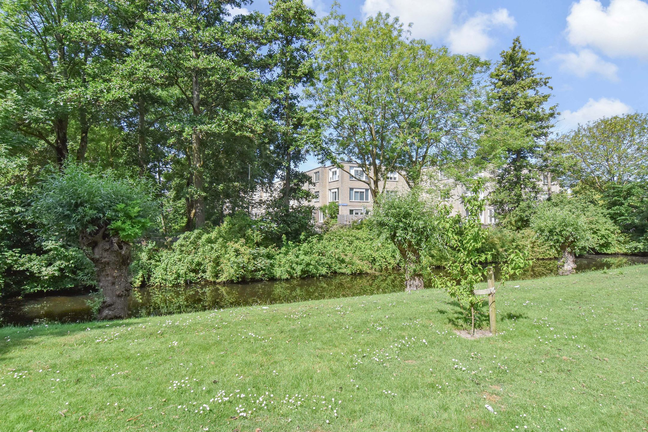 Foto 42 van Dirk Buserf 194