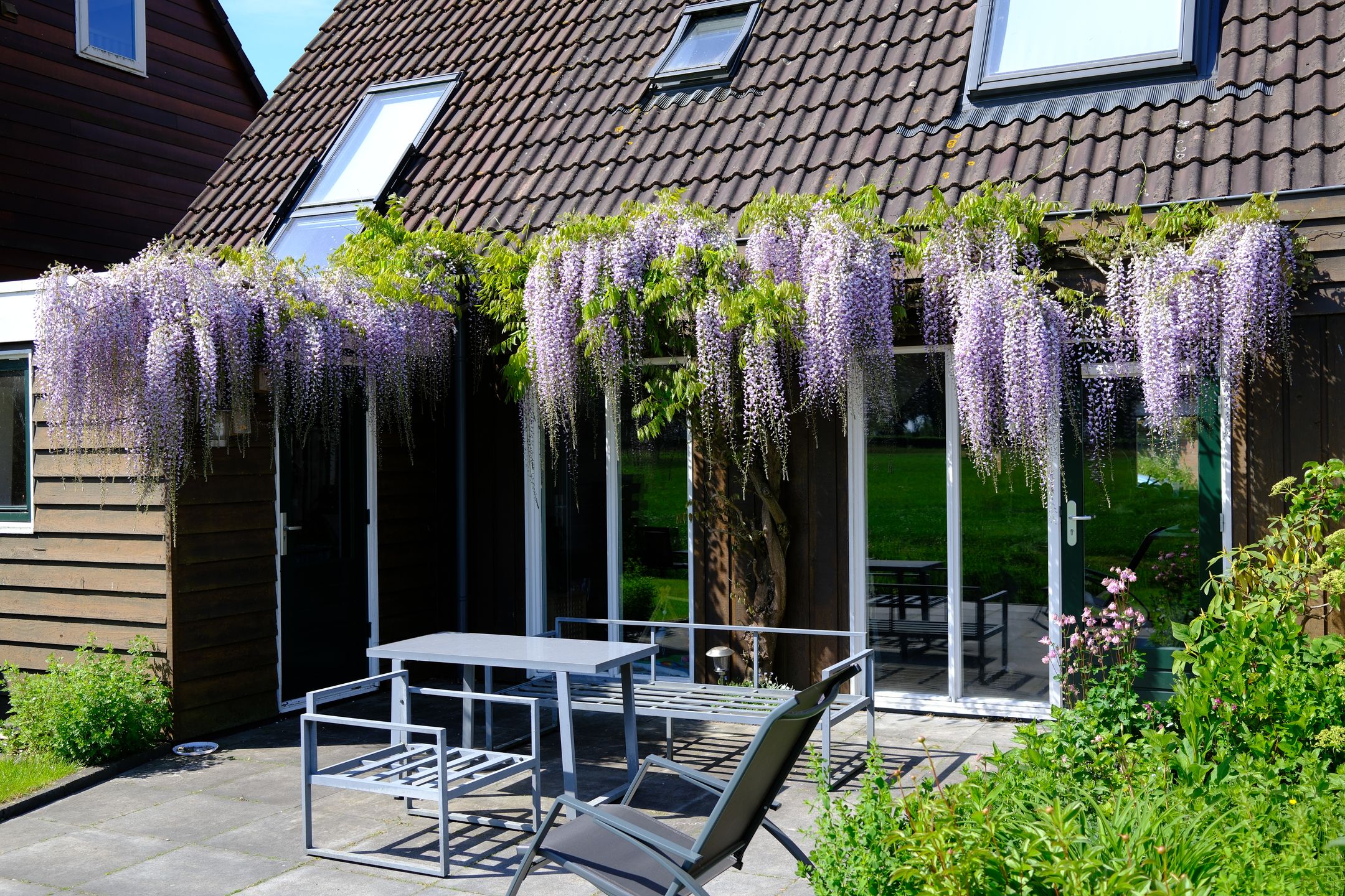 Foto 27 van Nesciolaantje 6