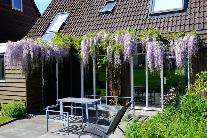 Foto 27 van Nesciolaantje 6