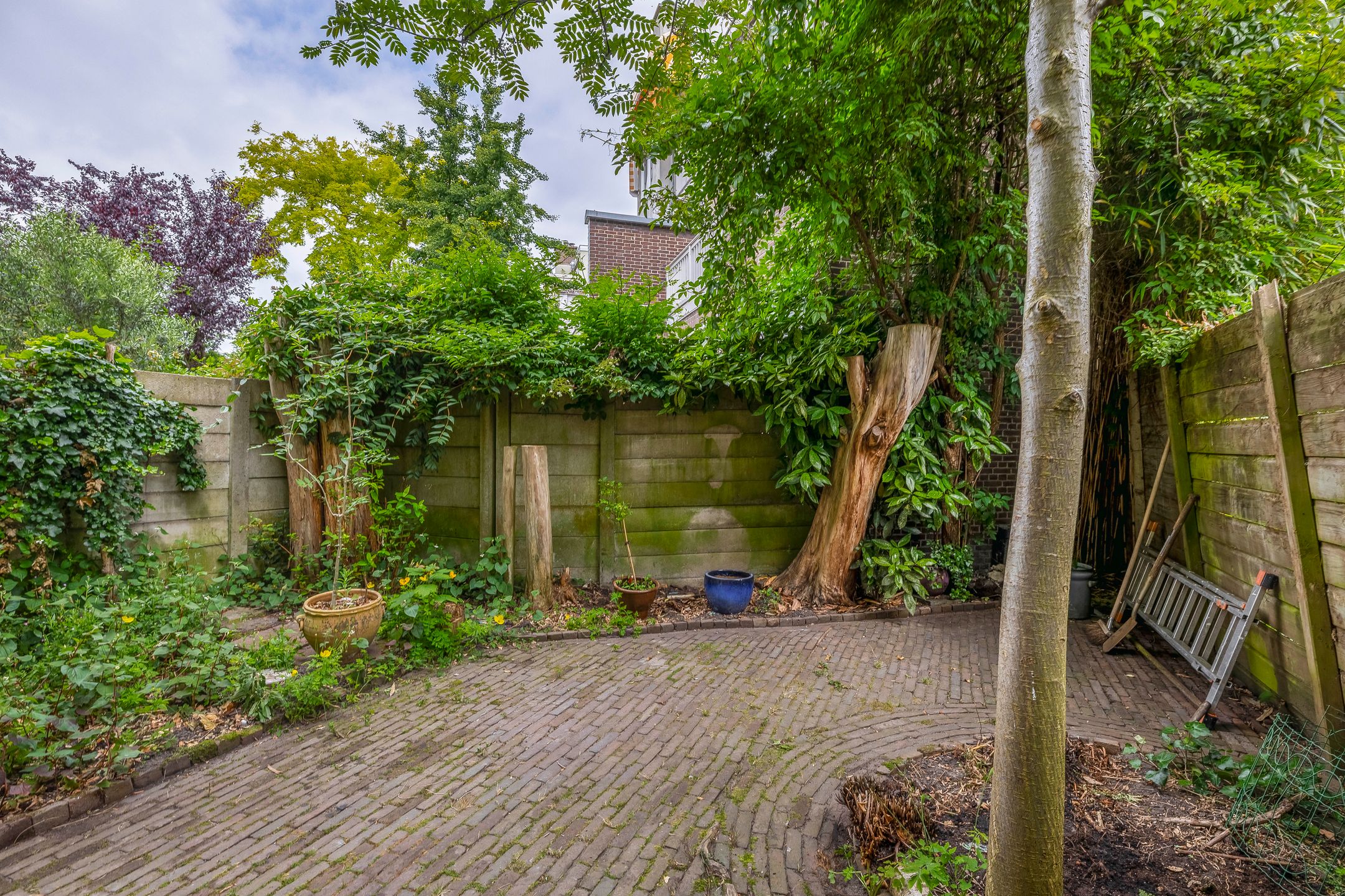 Foto 18 van Thomsonlaan 33