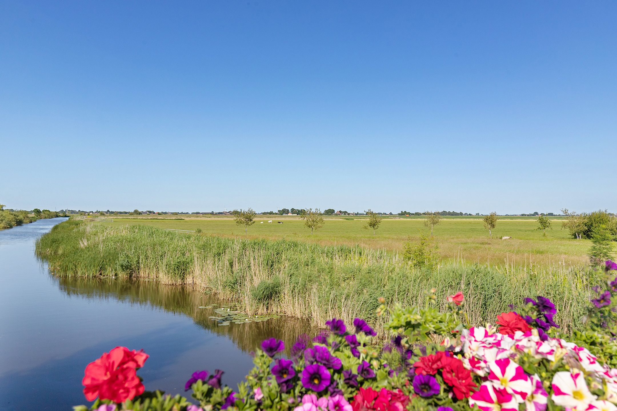 Foto 9 van Doniaweg 1