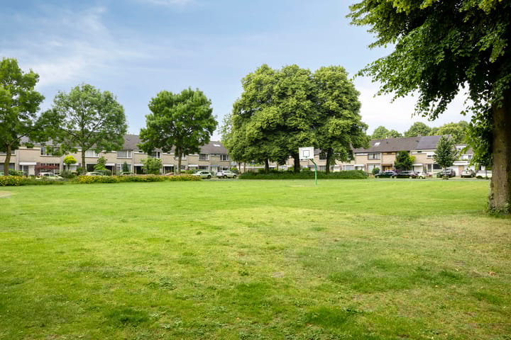 Foto 30 van Dupuislaan 7