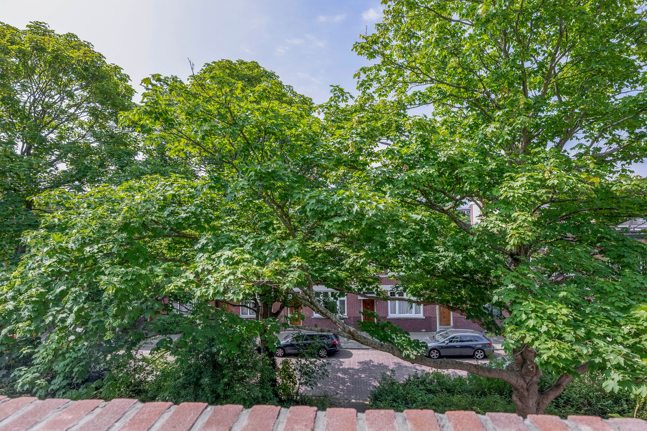 Foto 45 van Thomsonlaan 33