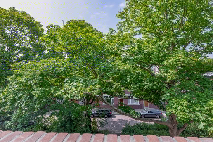 Foto 45 van Thomsonlaan 33