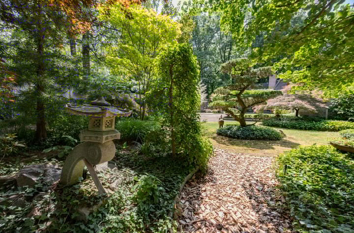 Foto 27 van Scheurbroeksesteeg 25