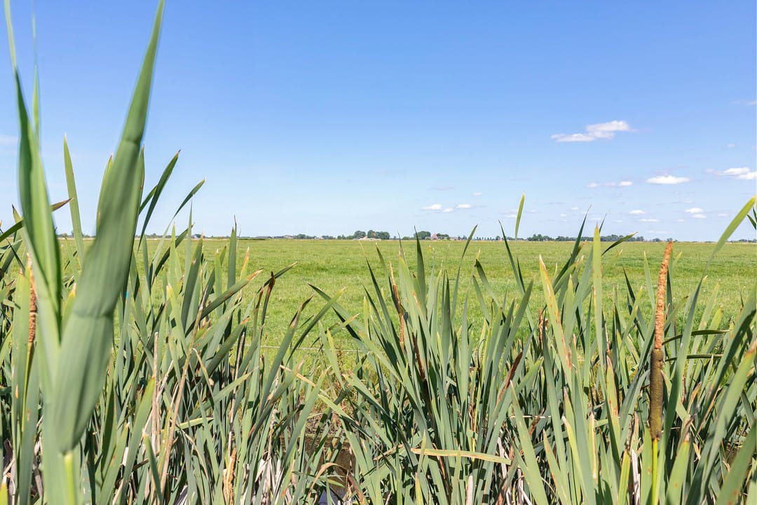 Foto 77 van Doniaweg 1