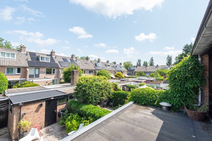 Foto 36 van Terborchlaan 24