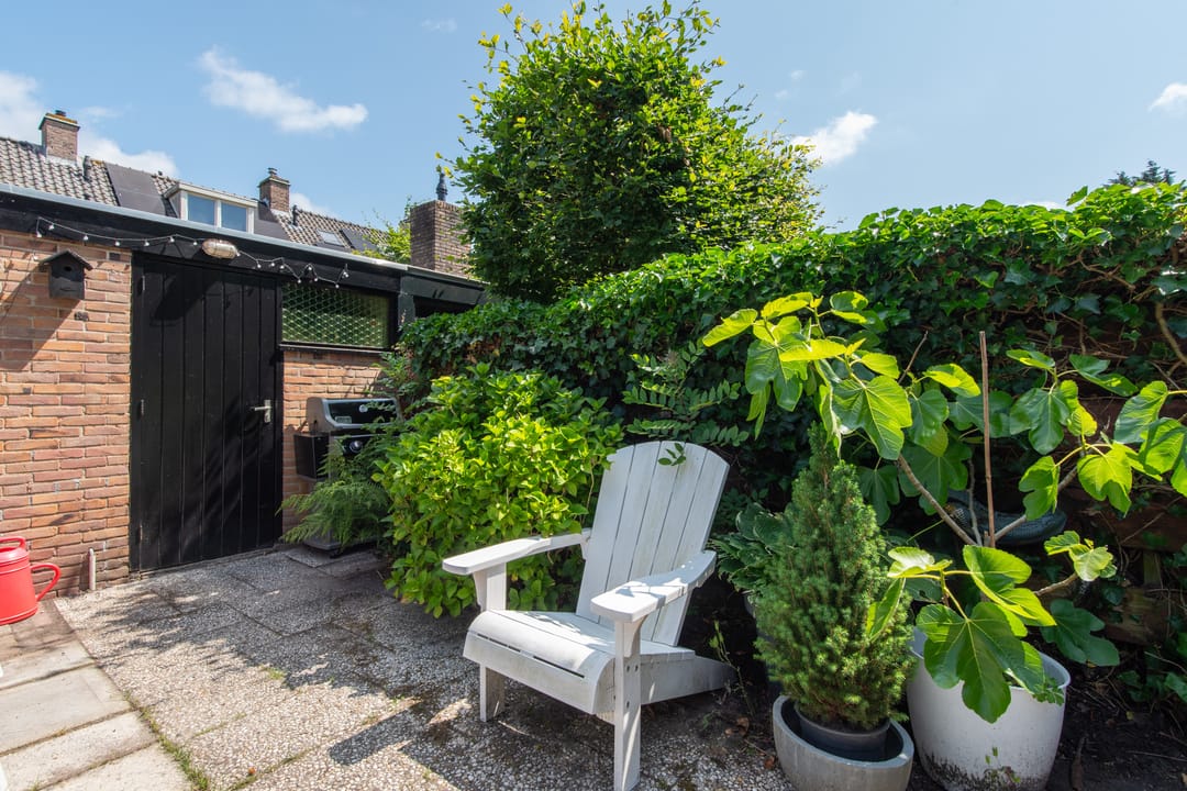 Foto 41 van Terborchlaan 24