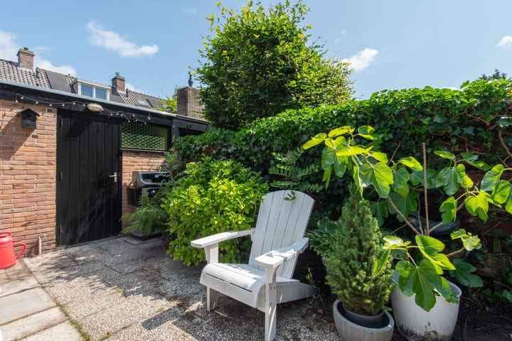 Foto 41 van Terborchlaan 24