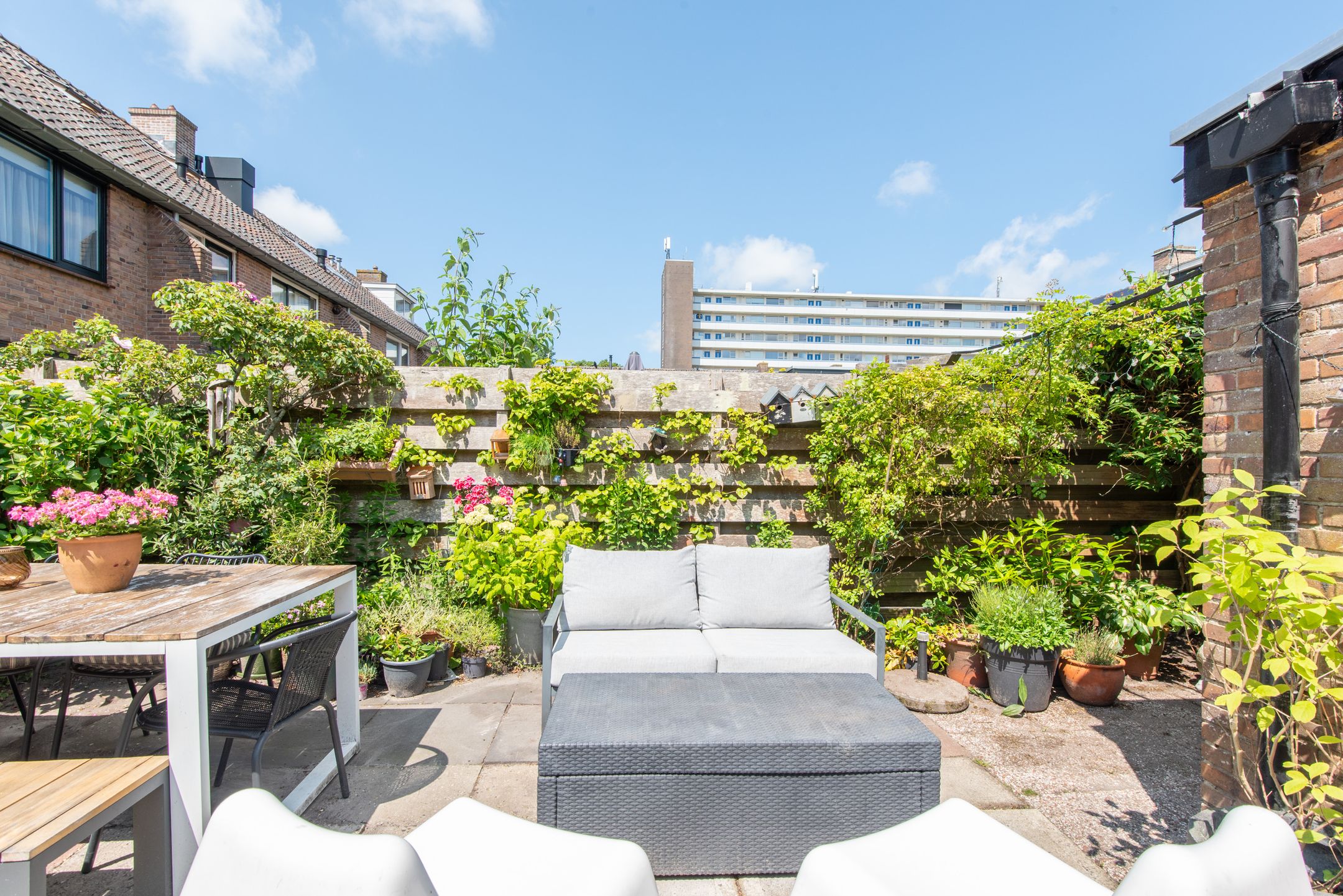 Foto 42 van Terborchlaan 24