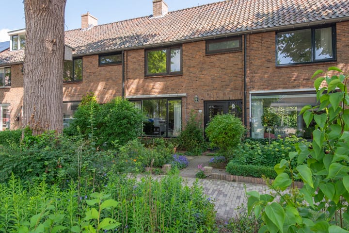 Foto 46 van Terborchlaan 24