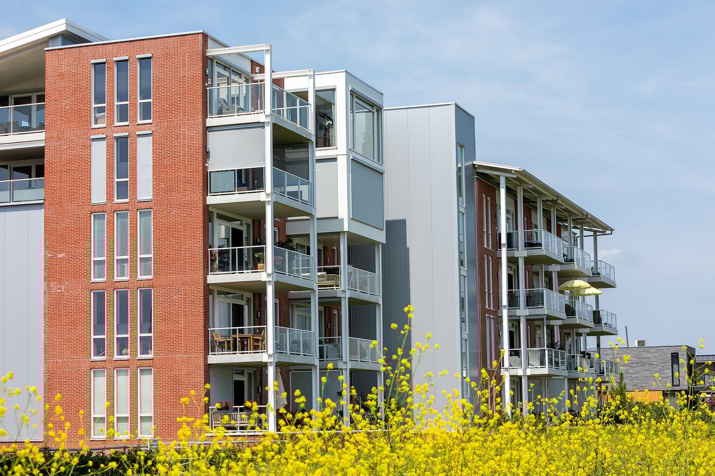 Foto 4 van Kaapsduin 46