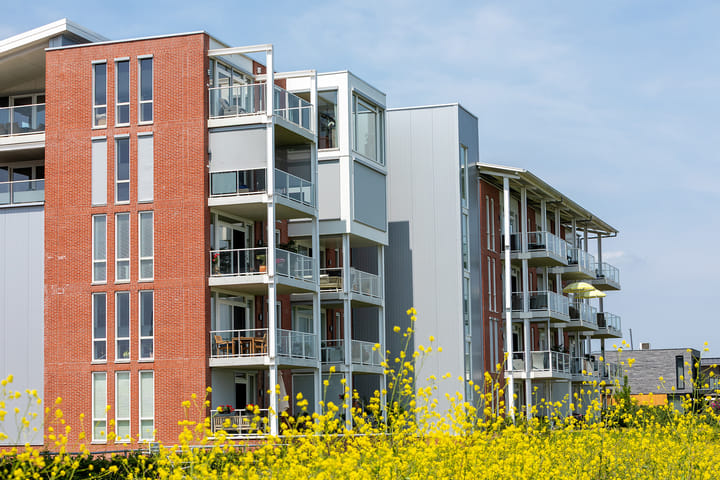 Foto 4 van Kaapsduin 46