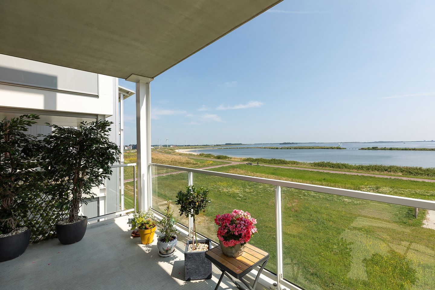 Foto 19 van Kaapsduin 46