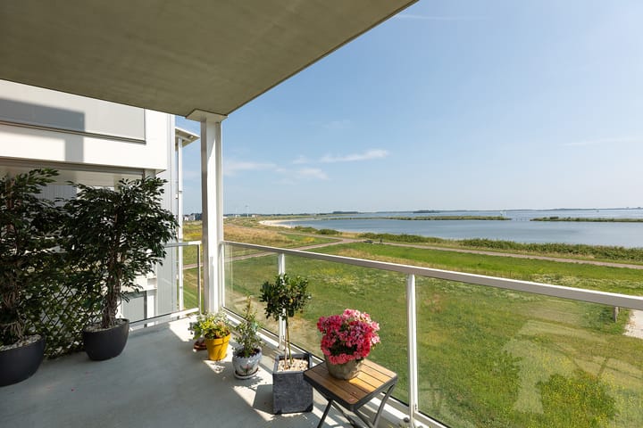 Foto 19 van Kaapsduin 46