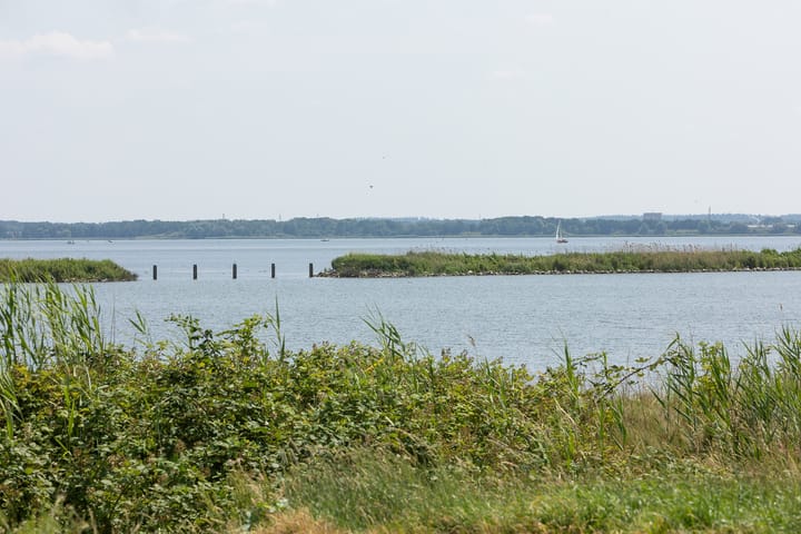 Foto 31 van Kaapsduin 46