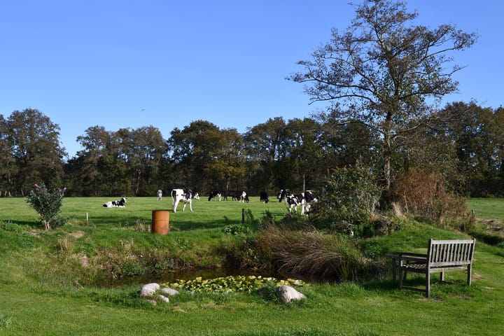 Photo 8 of Zuiderhoeksweg 8