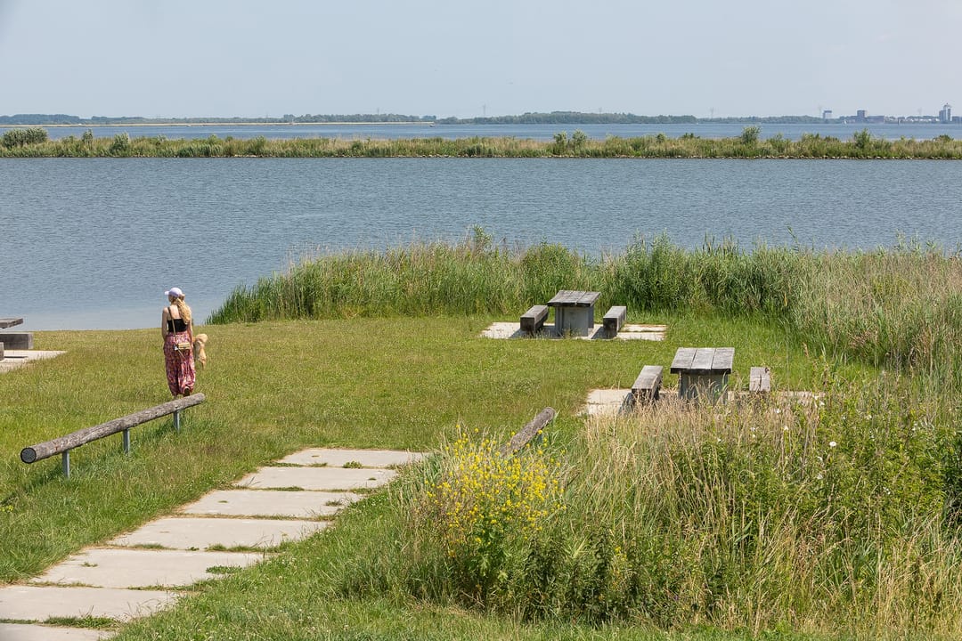 Foto 32 van Kaapsduin 46