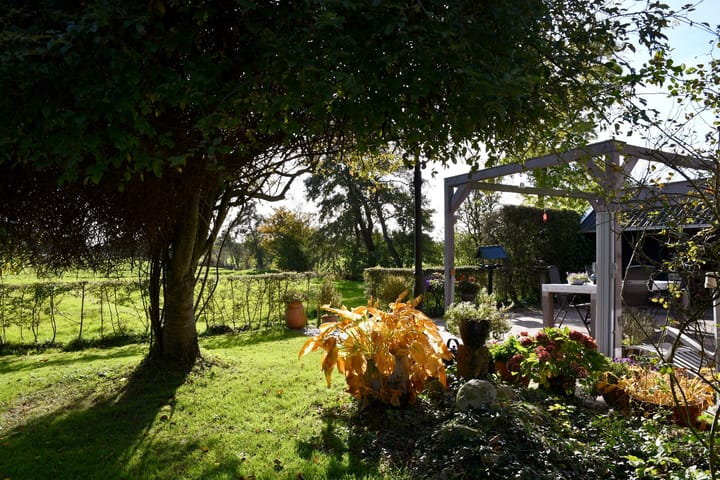 Photo 18 of Zuiderhoeksweg 8