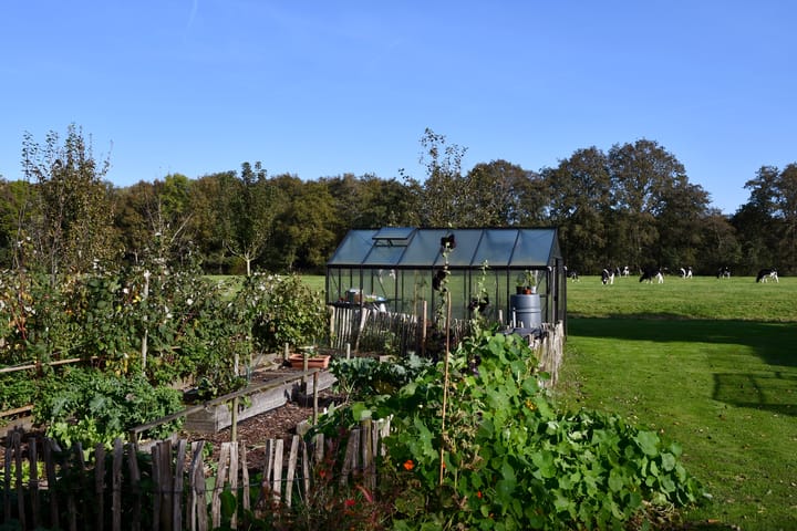 Photo 24 of Zuiderhoeksweg 8