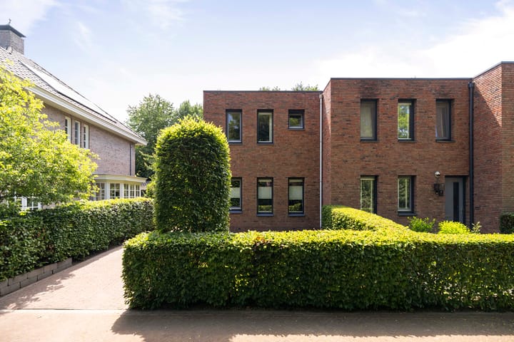 Foto 2 van Weidegeelster 10